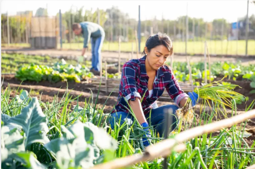 Rapidly Growing Job Market For Newcomers In Canada Opportunities And Trends