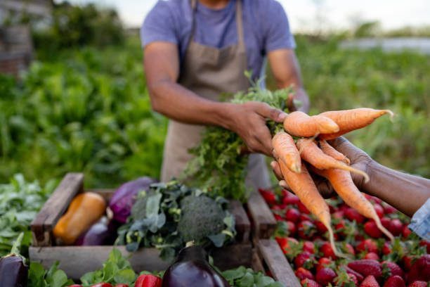 Ready For Hands On Work Farming Jobs In The Uk With Free Visa Sponsorship Open Now