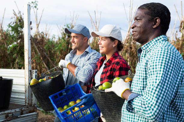 The Role Of A Recovery Associate At Rural King Supply A Deep Dive